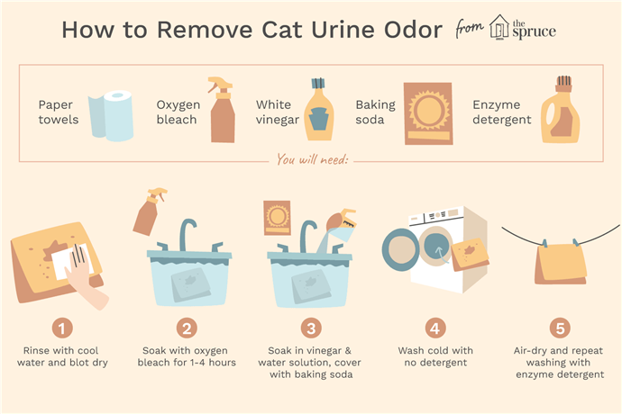 Cómo quitar el olor a orina de gato de la ropa y la ropa de cama - Point Pet