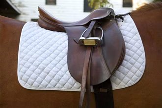 Cómo ensillar un caballo