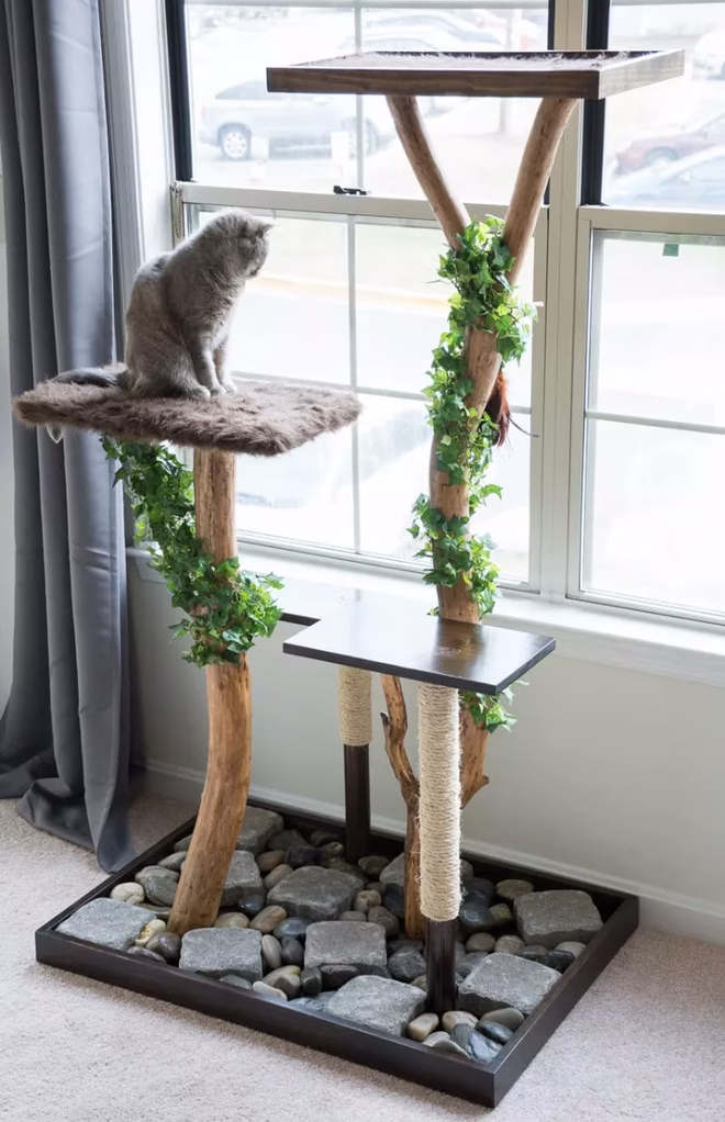7 ingyenes DIY macskafa tervek